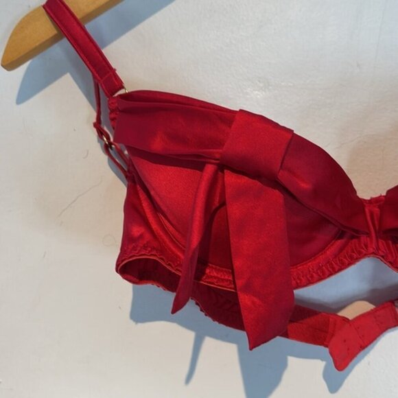 Agent Provocateur ‘BIRTHDAY SUIT’ Bra in Red SILK size 3 (34C) - Picture 5 of 16